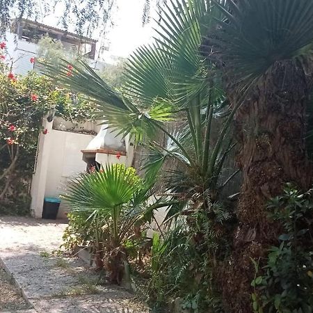 Apartamento - Jardin En Playa San Sebastian سيدجيس المظهر الخارجي الصورة