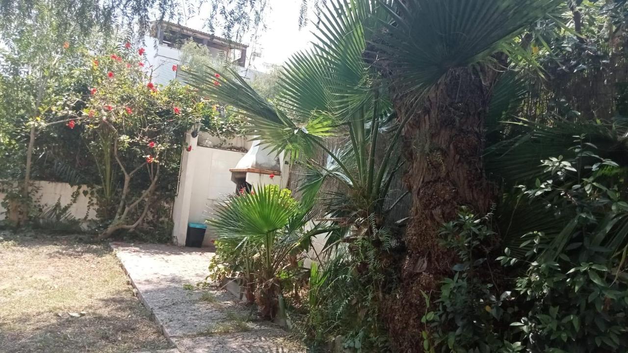 Apartamento - Jardin En Playa San Sebastian سيدجيس المظهر الخارجي الصورة